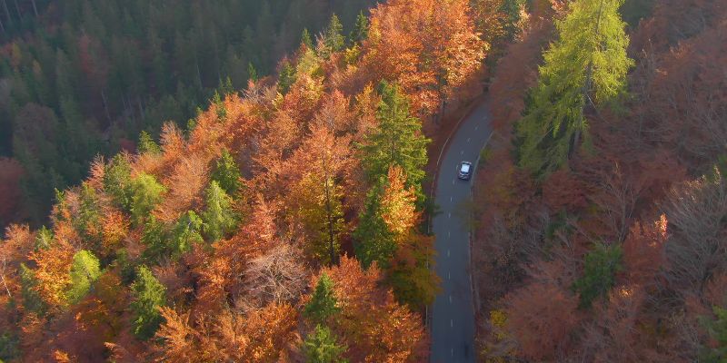 Explore Slovenia by Car: Top 3 routes